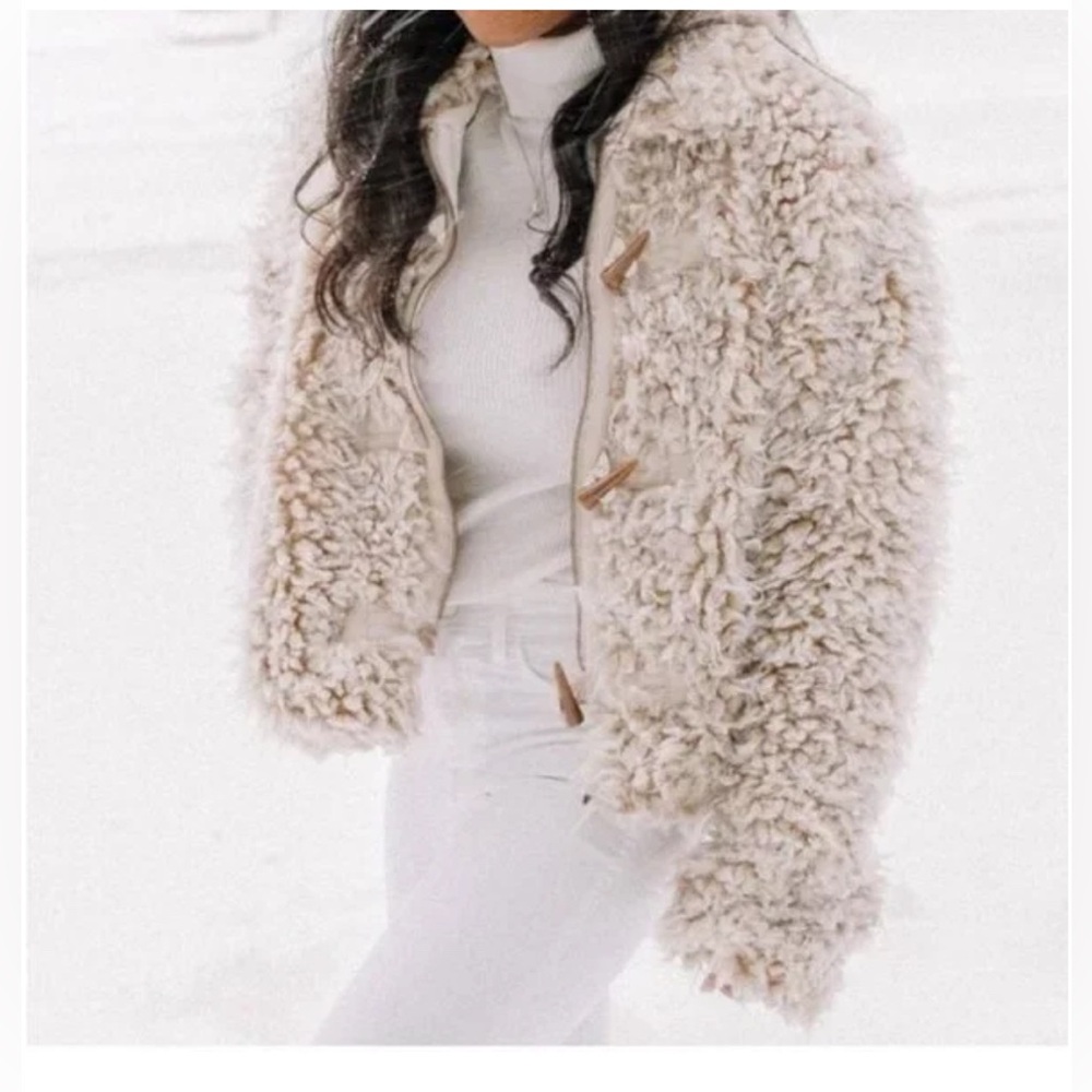Anthropologie Brenna Faux Fur Sherpa Teddy Coat NWT XL - Picture 2 of 15
